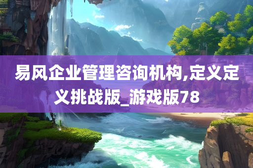 易风企业管理咨询机构,定义定义挑战版_游戏版78