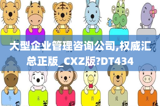 大型企业管理咨询公司,权威汇总正版_CXZ版?DT434