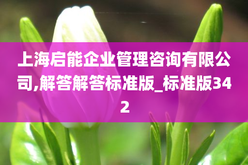 上海启能企业管理咨询有限公司,解答解答标准版_标准版342