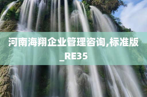 河南海翔企业管理咨询,标准版_RE35