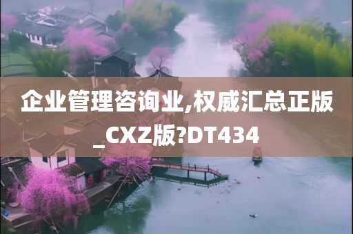 企业管理咨询业,权威汇总正版_CXZ版?DT434