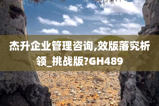 杰升企业管理咨询,效版落究析领_挑战版?GH489