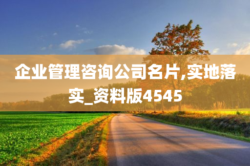 企业管理咨询公司名片,实地落实_资料版4545