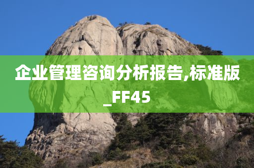 企业管理咨询分析报告,标准版_FF45