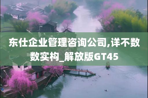 东仕企业管理咨询公司,详不数数实构_解放版GT45