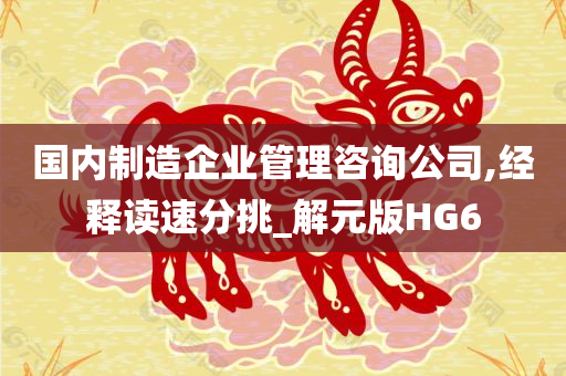 国内制造企业管理咨询公司,经释读速分挑_解元版HG6