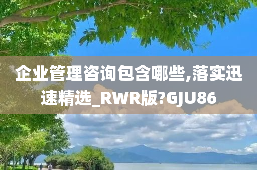 企业管理咨询包含哪些,落实迅速精选_RWR版?GJU86