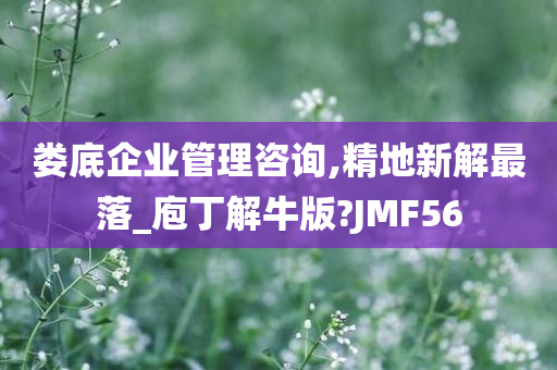 娄底企业管理咨询,精地新解最落_庖丁解牛版?JMF56