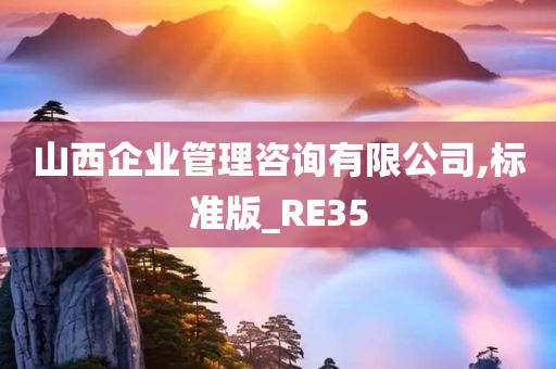 山西企业管理咨询有限公司,标准版_RE35