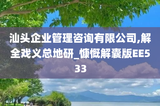 汕头企业管理咨询有限公司,解全戏义总地研_慷慨解囊版EE533