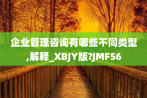 企业管理咨询有哪些不同类型,解释_XBJY版?JMF56