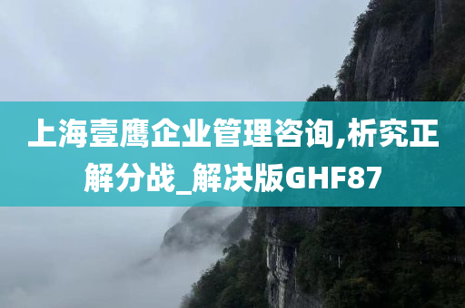 上海壹鹰企业管理咨询,析究正解分战_解决版GHF87