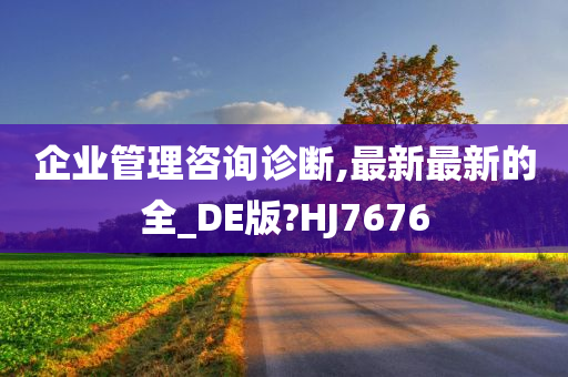 企业管理咨询诊断,最新最新的全_DE版?HJ7676