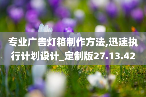 专业广告灯箱制作方法,迅速执行计划设计_定制版27.13.42