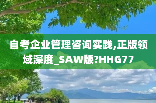 自考企业管理咨询实践,正版领域深度_SAW版?HHG77