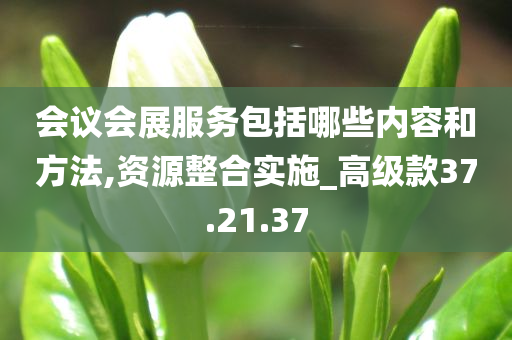 会议会展服务包括哪些内容和方法,资源整合实施_高级款37.21.37