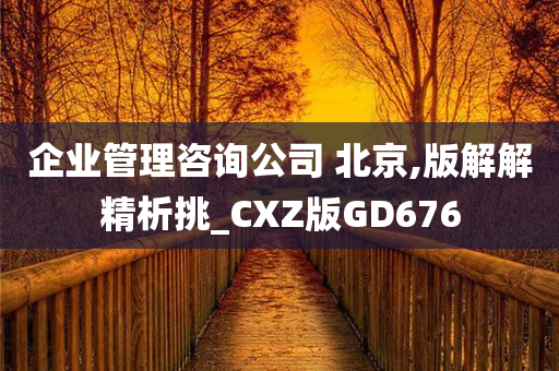 企业管理咨询公司 北京,版解解精析挑_CXZ版GD676