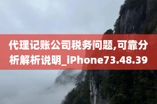 代理记账公司税务问题,可靠分析解析说明_iPhone73.48.39