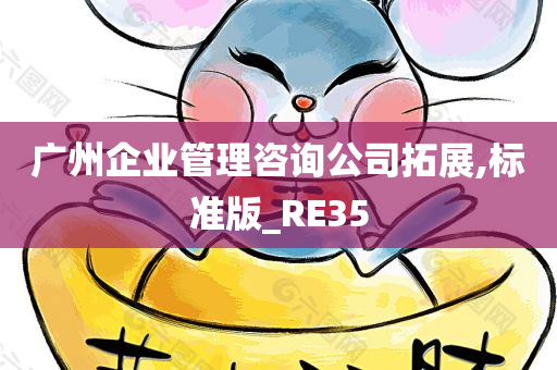 广州企业管理咨询公司拓展,标准版_RE35