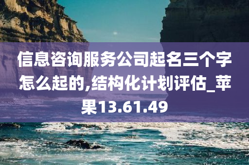 信息咨询服务公司起名三个字怎么起的,结构化计划评估_苹果13.61.49