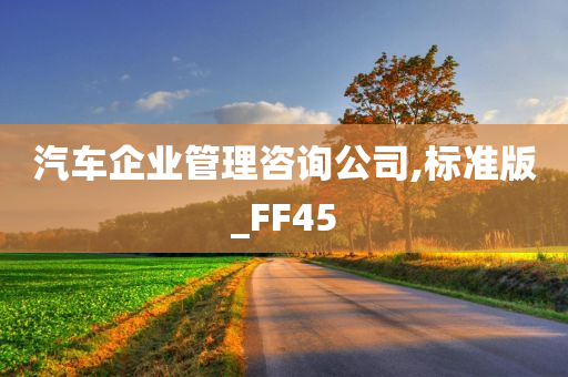 汽车企业管理咨询公司,标准版_FF45