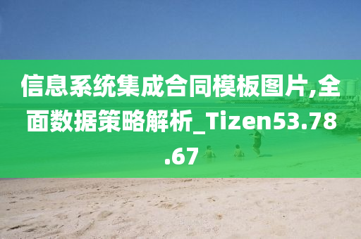 信息系统集成合同模板图片,全面数据策略解析_Tizen53.78.67