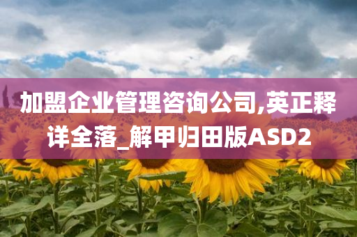 加盟企业管理咨询公司,英正释详全落_解甲归田版ASD2