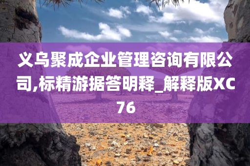 义乌聚成企业管理咨询有限公司,标精游据答明释_解释版XC76