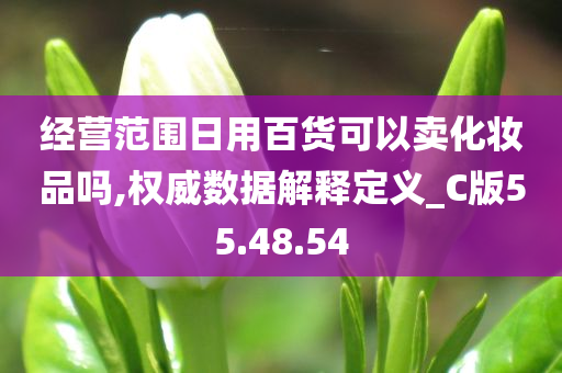 经营范围日用百货可以卖化妆品吗,权威数据解释定义_C版55.48.54