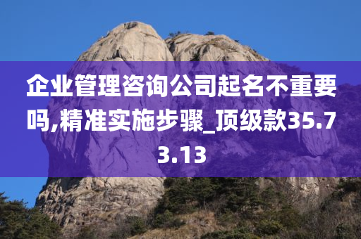 企业管理咨询公司起名不重要吗,精准实施步骤_顶级款35.73.13