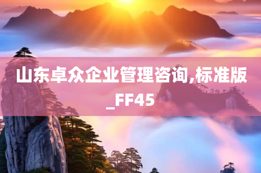 山东卓众企业管理咨询,标准版_FF45