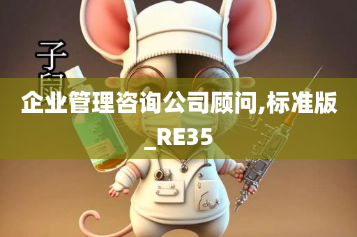 企业管理咨询公司顾问,标准版_RE35