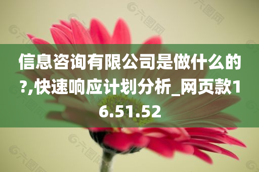 信息咨询有限公司是做什么的?,快速响应计划分析_网页款16.51.52