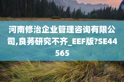 河南修治企业管理咨询有限公司,良莠研究不齐_EEF版?SE44565