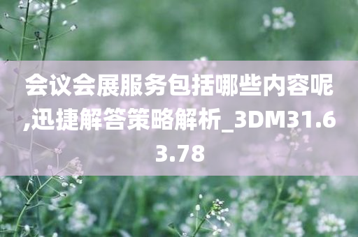 会议会展服务包括哪些内容呢,迅捷解答策略解析_3DM31.63.78