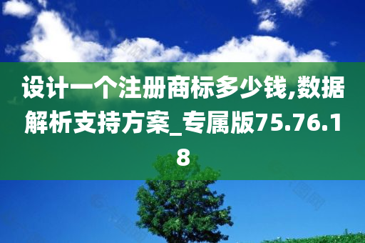 设计一个注册商标多少钱,数据解析支持方案_专属版75.76.18