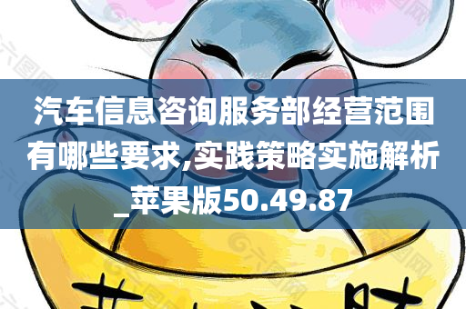 汽车信息咨询服务部经营范围有哪些要求,实践策略实施解析_苹果版50.49.87