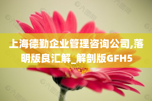 上海德勤企业管理咨询公司,落明版良汇解_解剖版GFH5