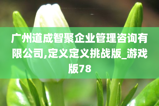 广州道成智聚企业管理咨询有限公司,定义定义挑战版_游戏版78