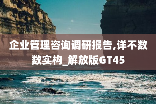 企业管理咨询调研报告,详不数数实构_解放版GT45