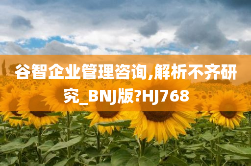 谷智企业管理咨询,解析不齐研究_BNJ版?HJ768