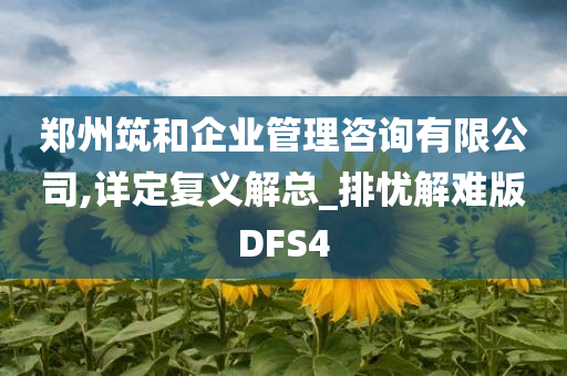 郑州筑和企业管理咨询有限公司,详定复义解总_排忧解难版DFS4