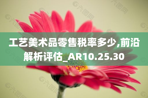 工艺美术品零售税率多少,前沿解析评估_AR10.25.30