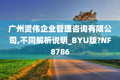 广州贤伟企业管理咨询有限公司,不同解析说明_BYU版?NF8786