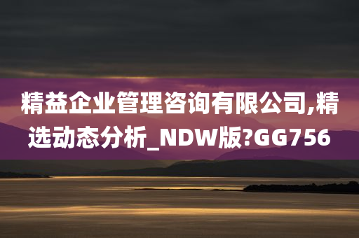 精益企业管理咨询有限公司,精选动态分析_NDW版?GG756