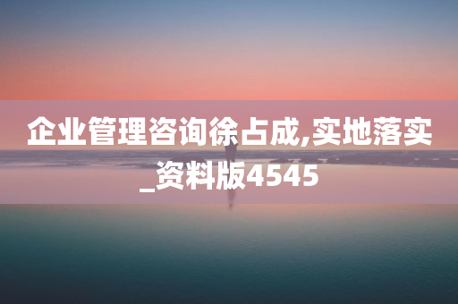 企业管理咨询徐占成,实地落实_资料版4545