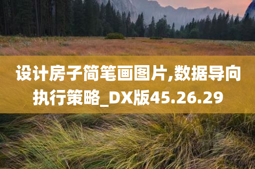 设计房子简笔画图片,数据导向执行策略_DX版45.26.29