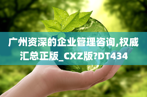 广州资深的企业管理咨询,权威汇总正版_CXZ版?DT434