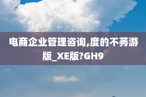 电商企业管理咨询,度的不莠游版_XE版?GH9