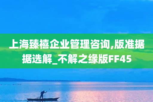 上海臻禧企业管理咨询,版准据据选解_不解之缘版FF45